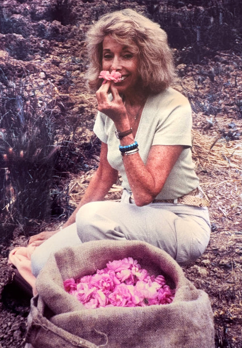 Group Workshop: The Chakra Journey in the Light by Gloria O. Hammer